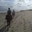 Equine Adventures is less than a mile away...fun beach ride for the family