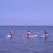 FWC is a great place to SUP...stand up paddleboard.  Fun & easy.